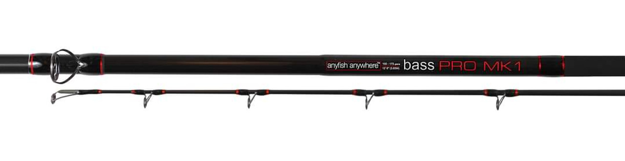 anyfish anywhere tournament bass