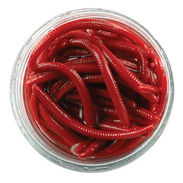 Berkley Gulp Alive Baits - Angle Worm Red - Angling Centre West Bay