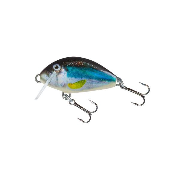 Salmo Floating Tiny 3 - 3cm Holo Smelt