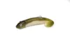 Drift Shoal Shad Double Combo 7cm 8g - Khaki 