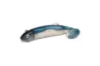 Drift Shoal Shad Double Combo 7cm 8g - Blue